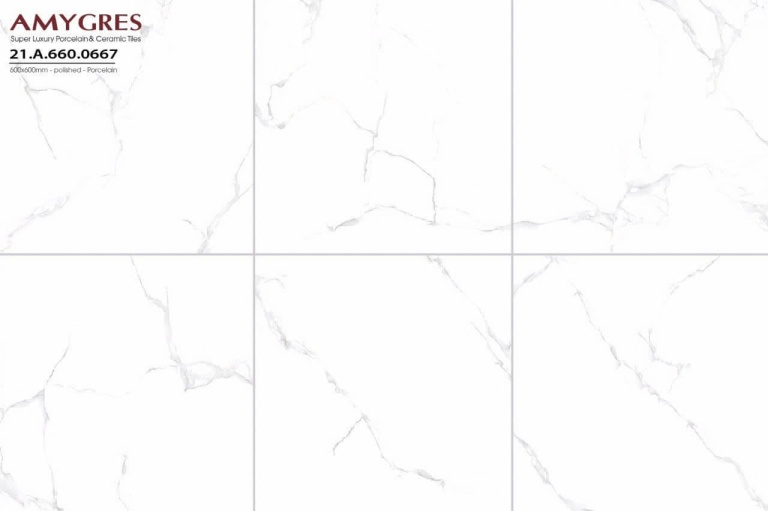 Á Mỹ - 21.A.660.0667