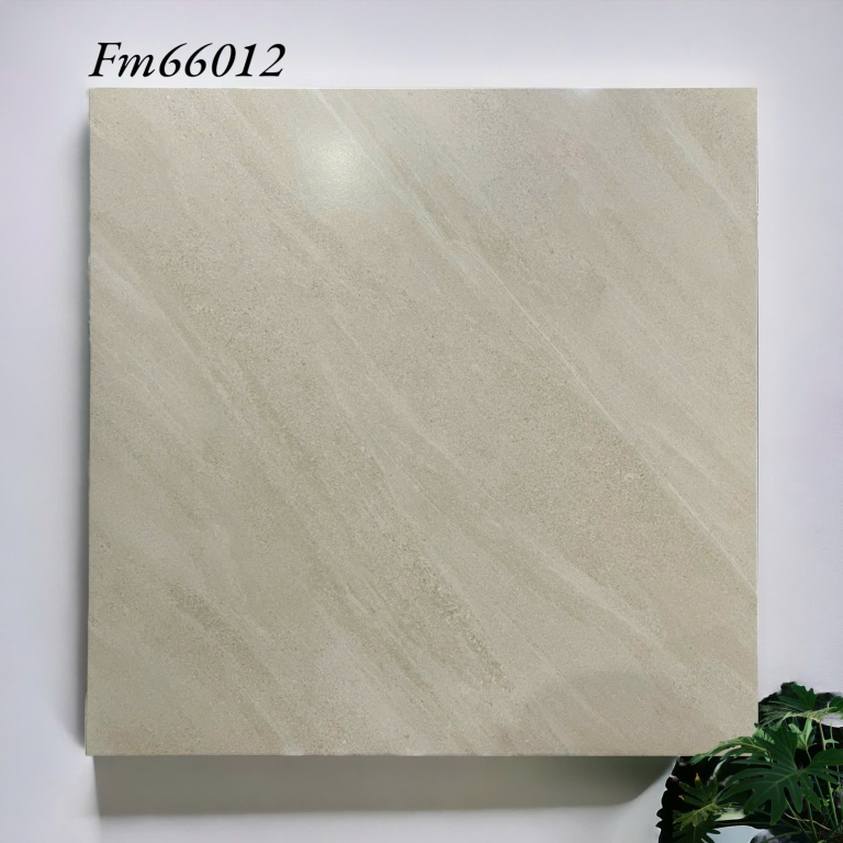 TTC - FM66012