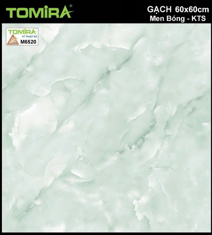 TTP - M6520
