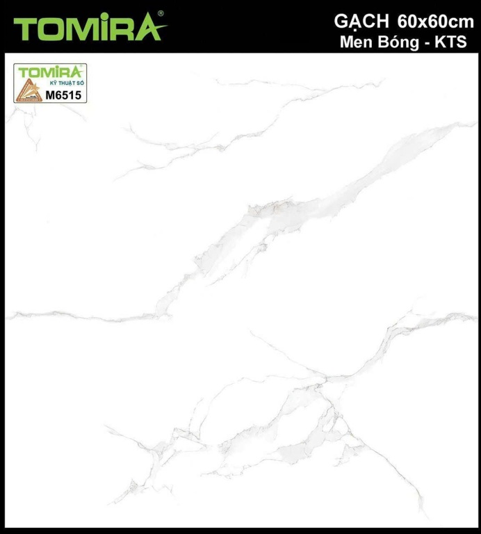 TTP - M6515