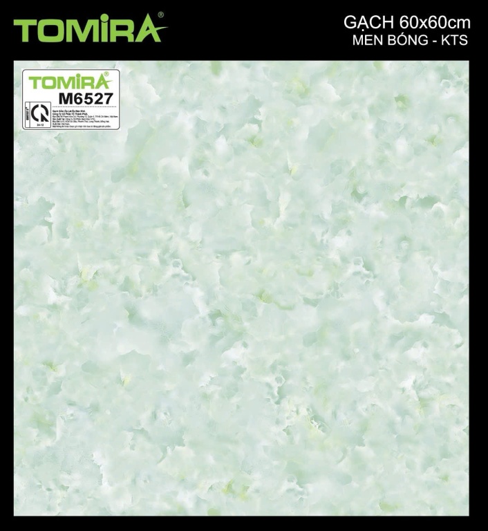 TTP - M6527