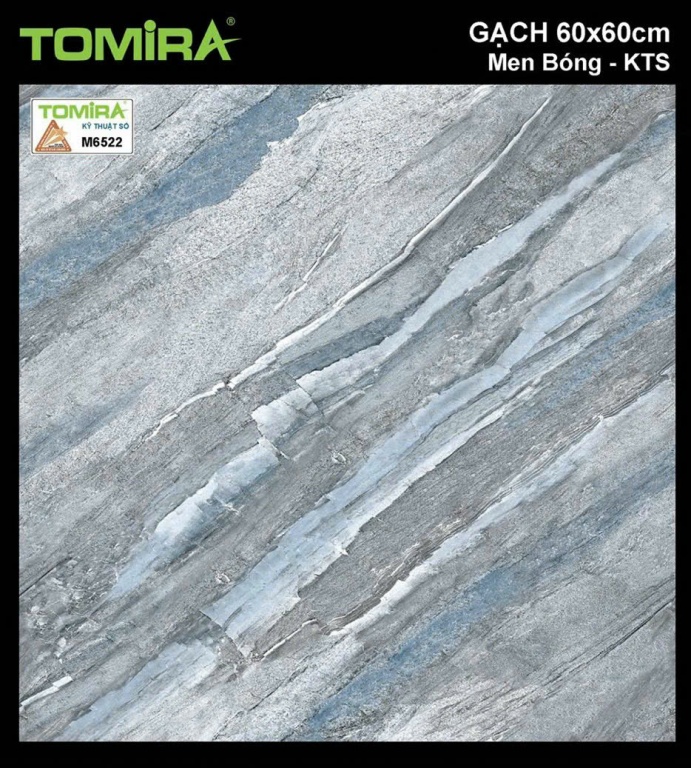 TTP - M6522
