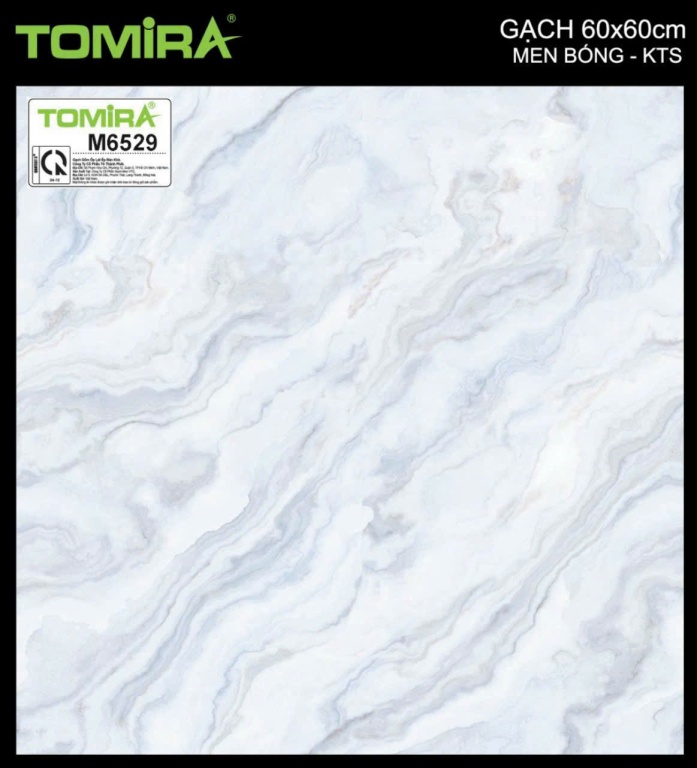 TTP - M6529