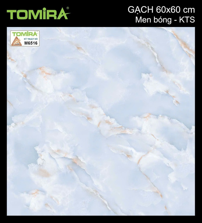 TTP - M6516