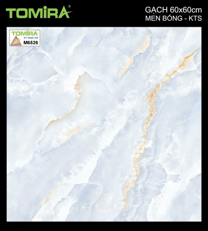 TTP - M6526