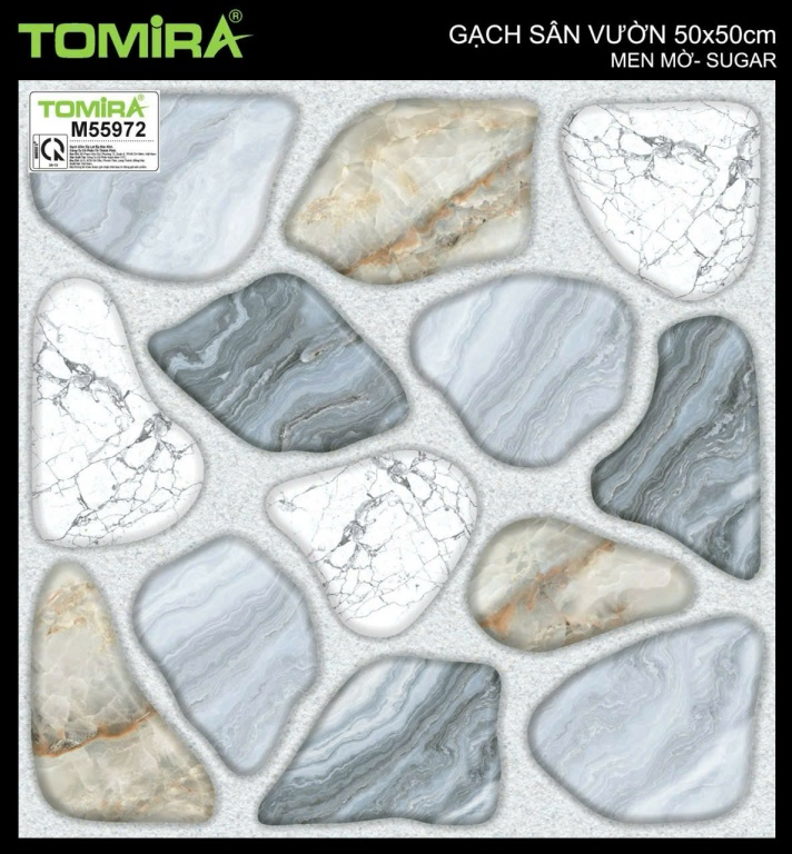 TTP - M55972
