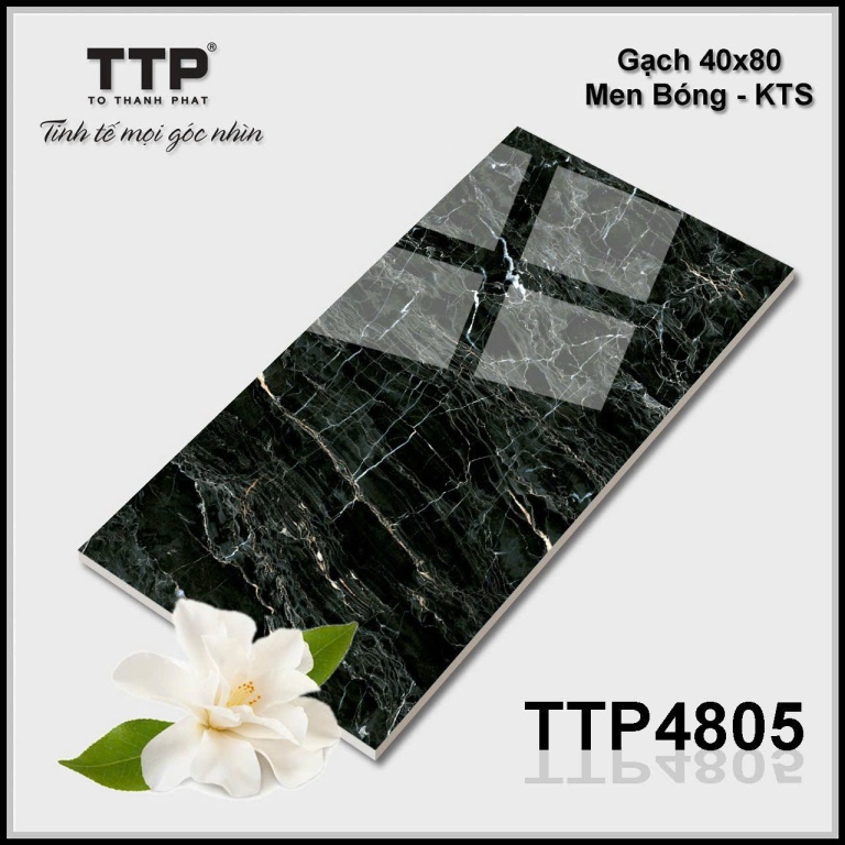 TTP - TTP4805