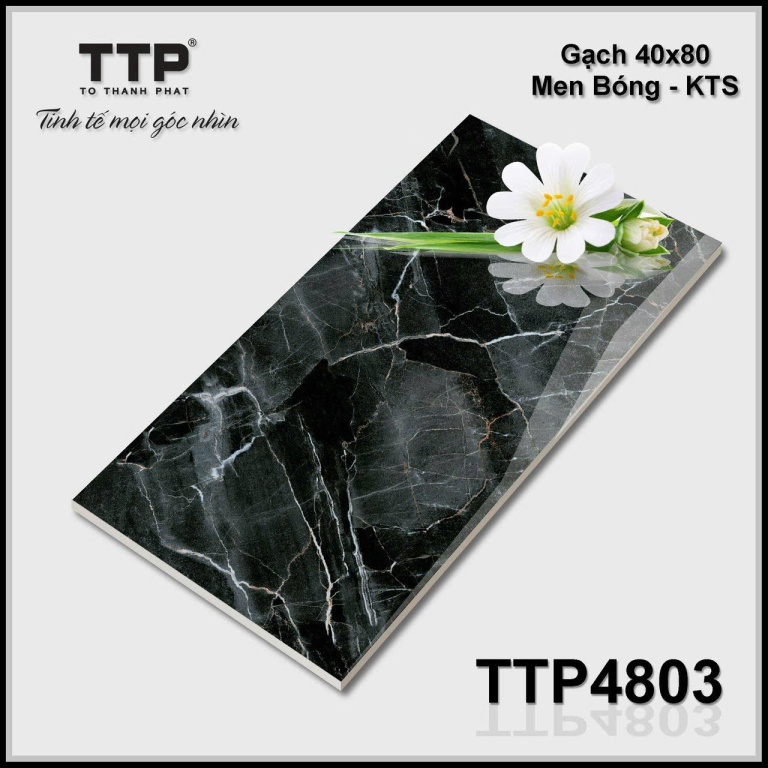 TTP - TTP4803