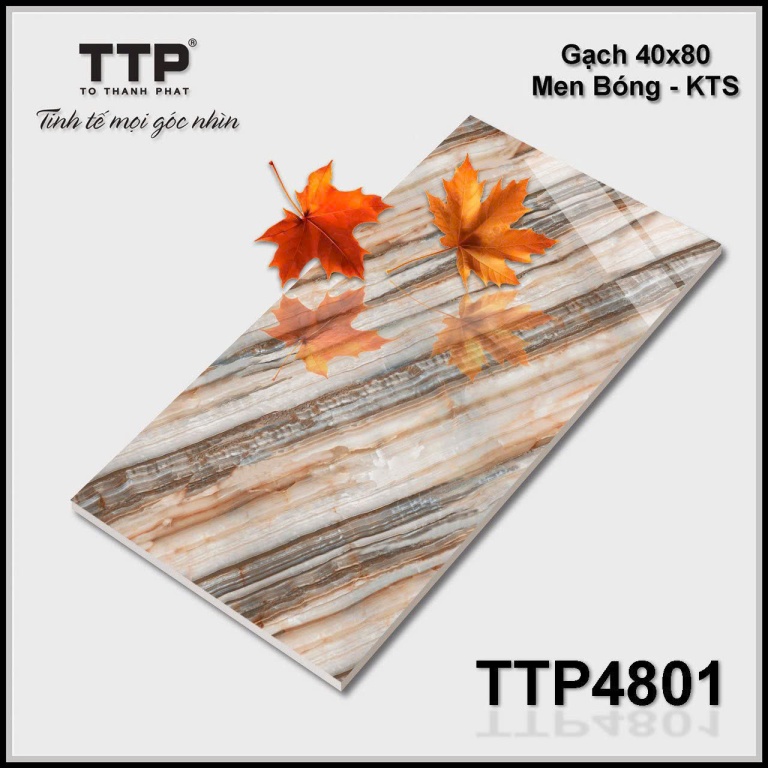 TTP - TTP4801