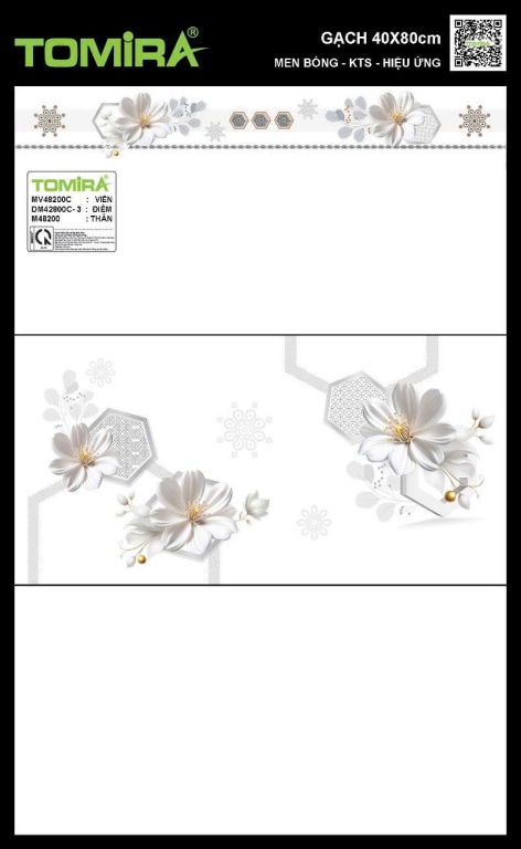 TTP - MV48200C - DM48200-3 - M48200