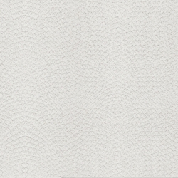 Taicera - G38225