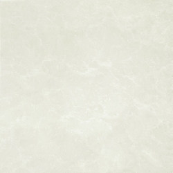 Taicera - P67663N