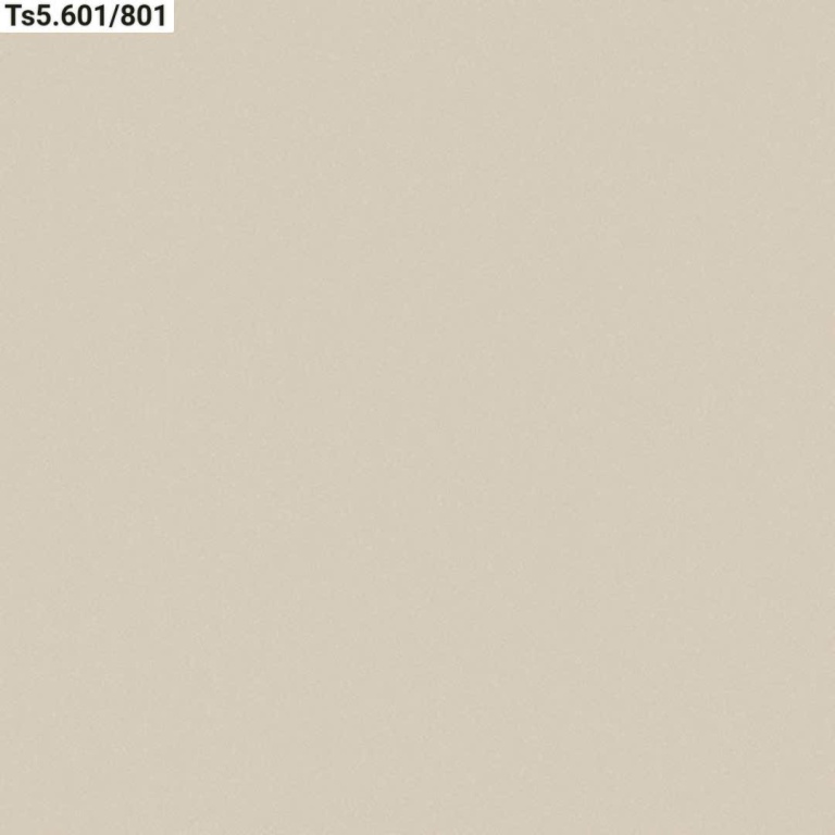 Viglacera - TS5.601/801