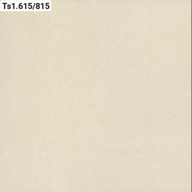 Viglacera - TS1.615/815