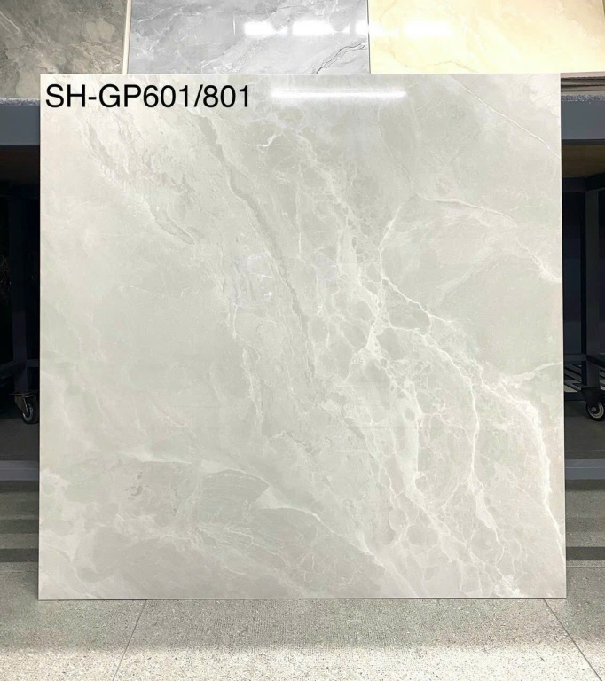 Viglacera - SH-GP601/801