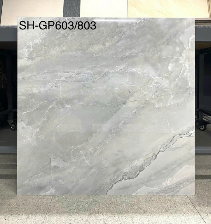 Viglacera - SH-GP603/803