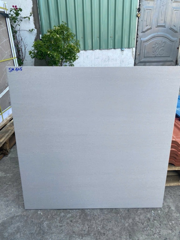 Viglacera - SM605