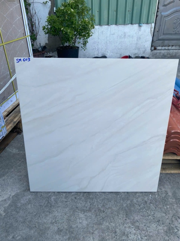 Viglacera - SM603