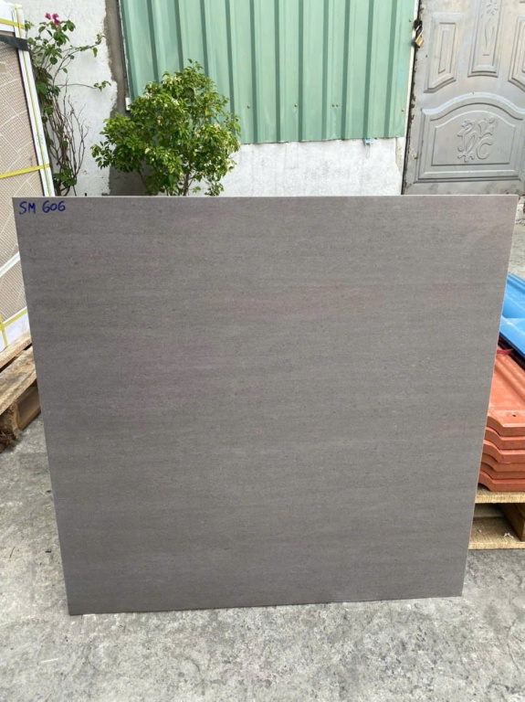 Viglacera - SM606
