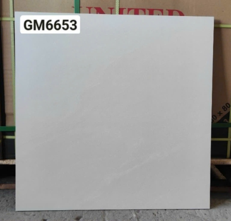 Viglacera - GM6653