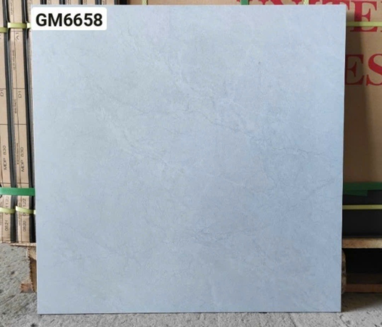 Viglacera - GM6658