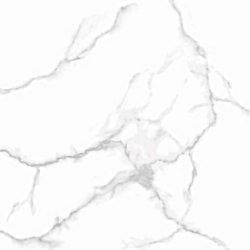 Taicera - G68945