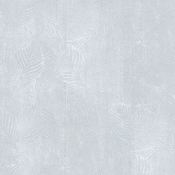 Taicera - G88827
