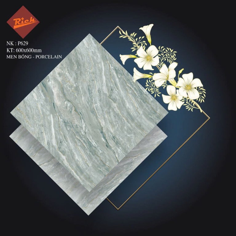 Nhà Ý - P629