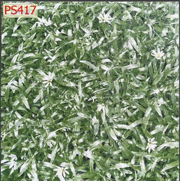 Nhà Ý - PS417