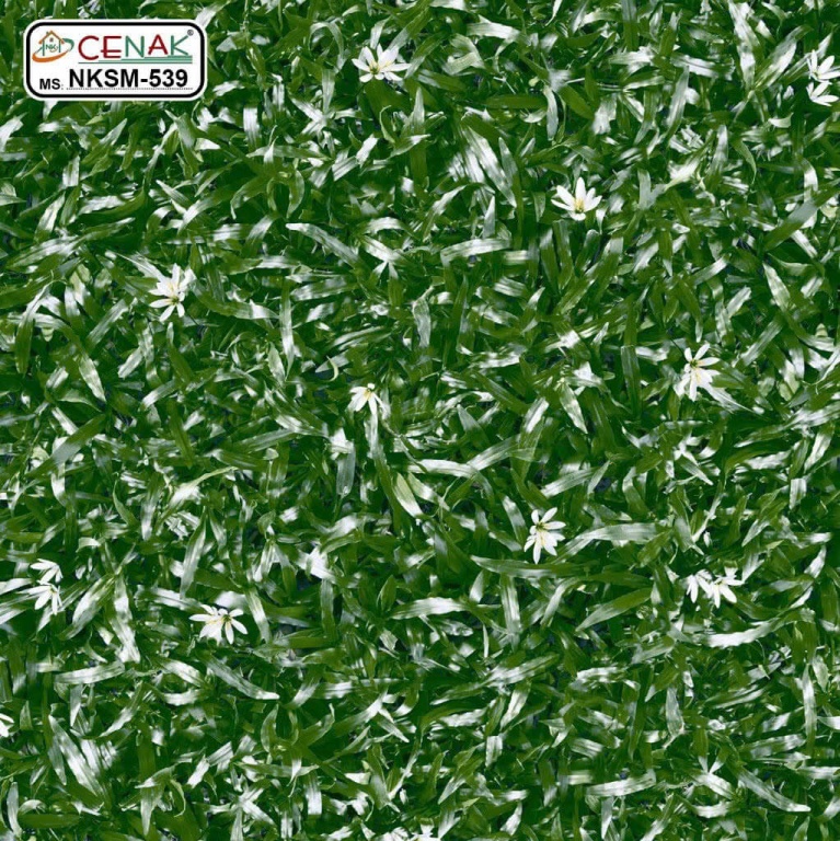 Nhà Ý - NKSM-539
