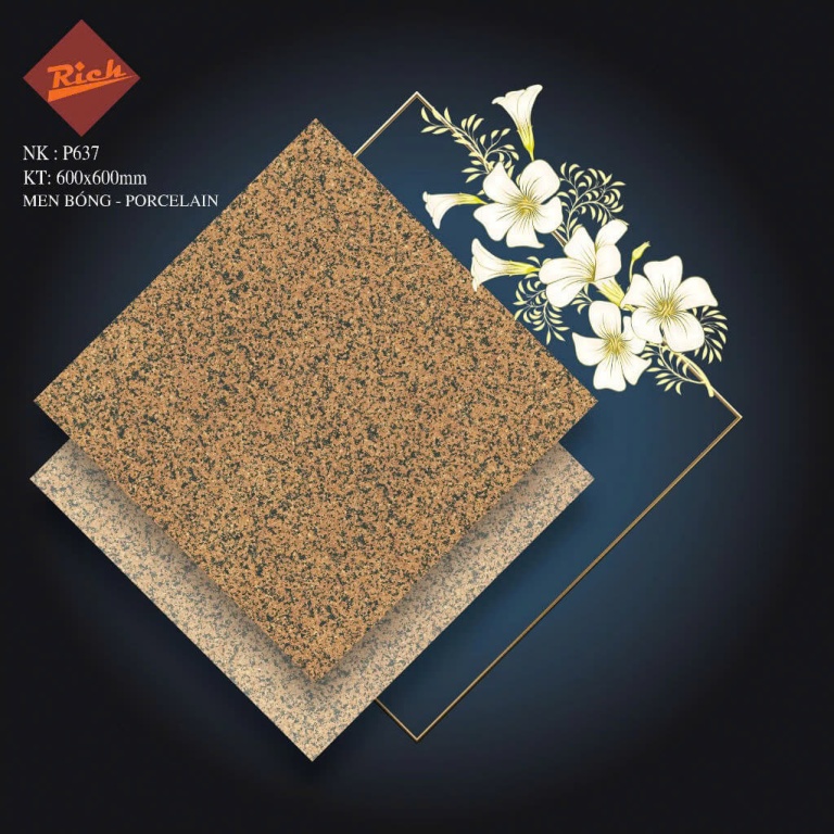 Nhà Ý - P637