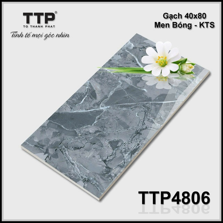 TTP - TTP4806