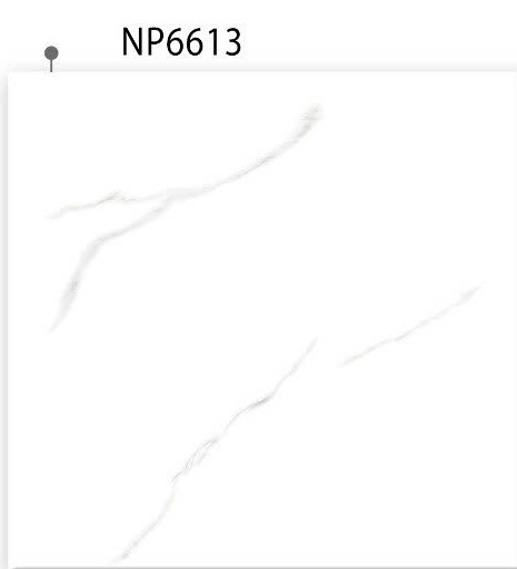 Phương Nam - NP6613