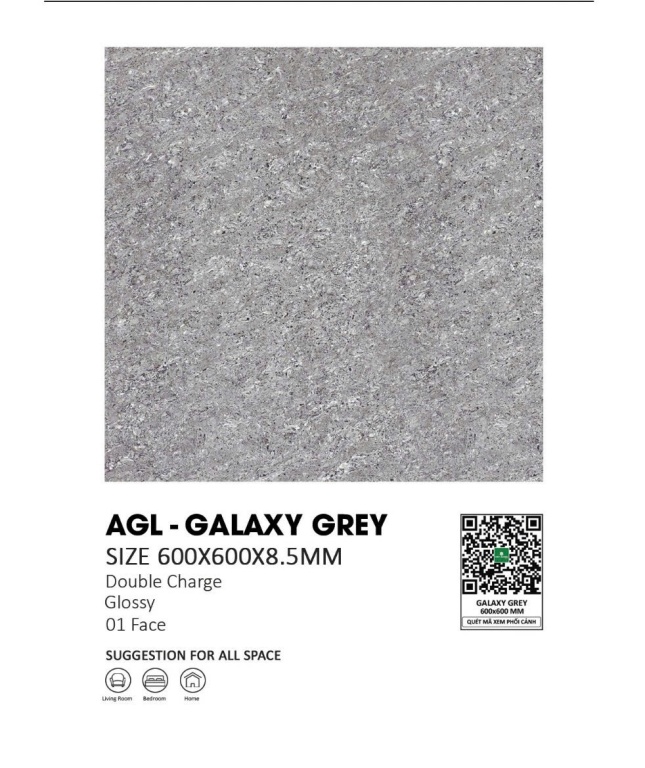 Gạch Ấn Độ - AGL-GALAXY GREY