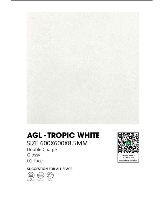 Gạch Ấn Độ - AGL-TROPIC WHITE