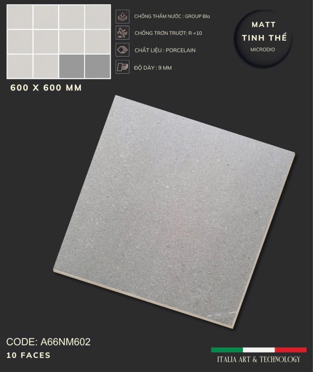 Apodio - A66NM602