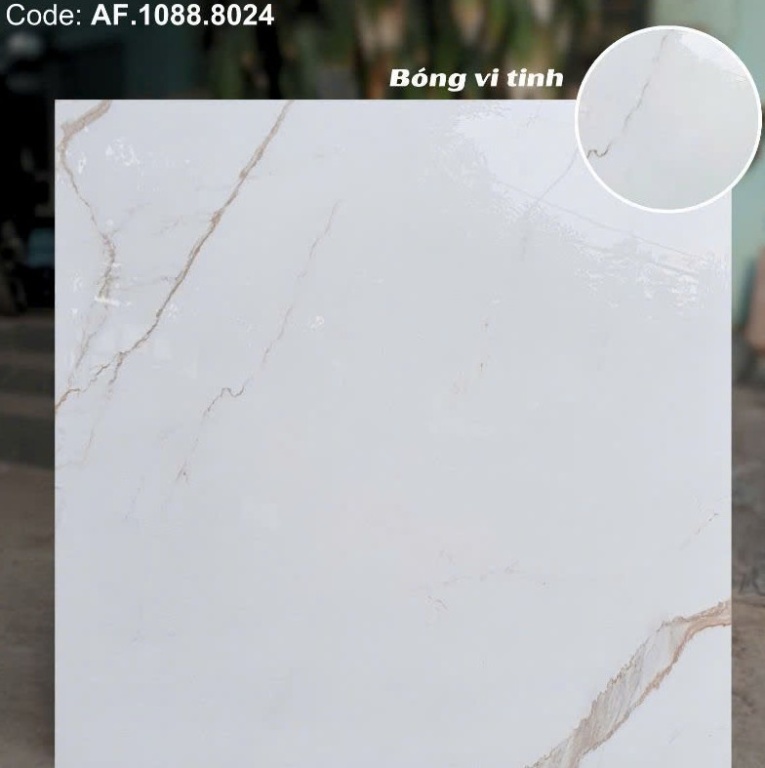 Apodio - AF.1088.8024