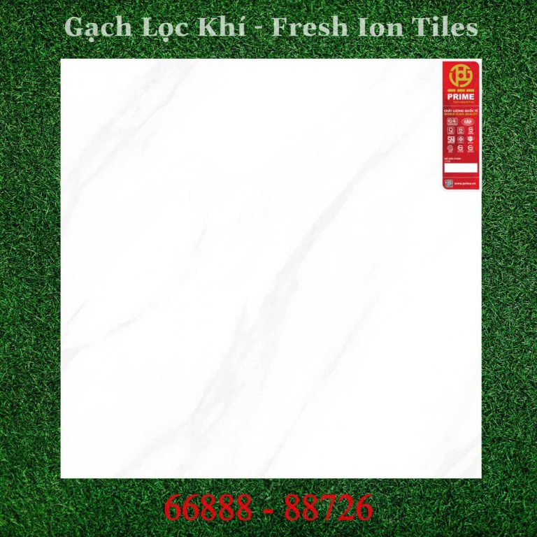 Prime - 66888 - 88726