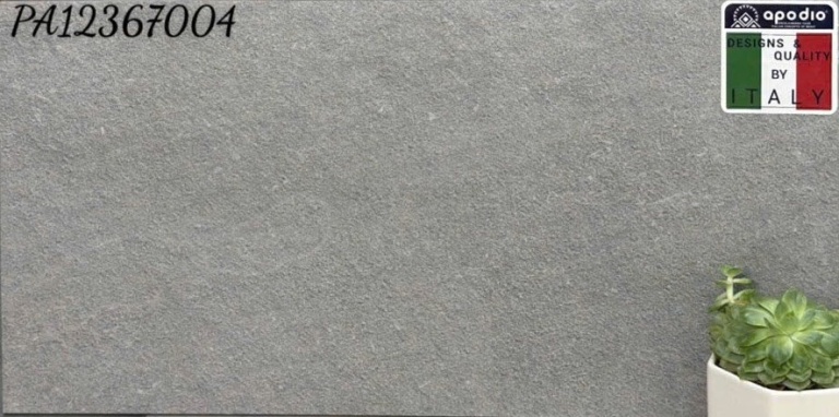 Apodio - PA12367004