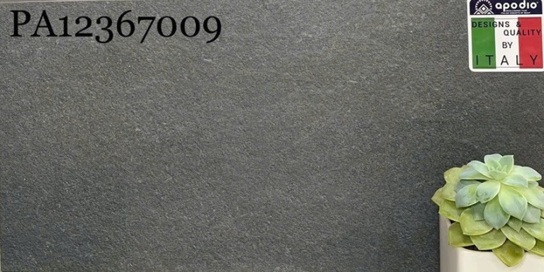 Apodio - PA12367009