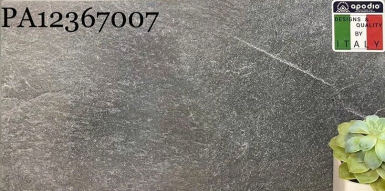 Apodio - PA12367007