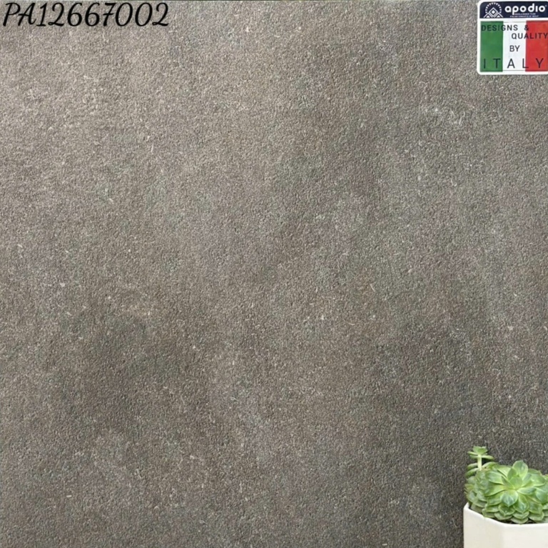 Apodio - PA12667002