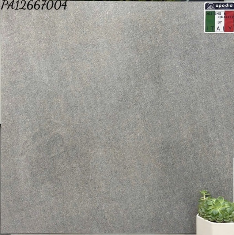 Apodio - PA12667004