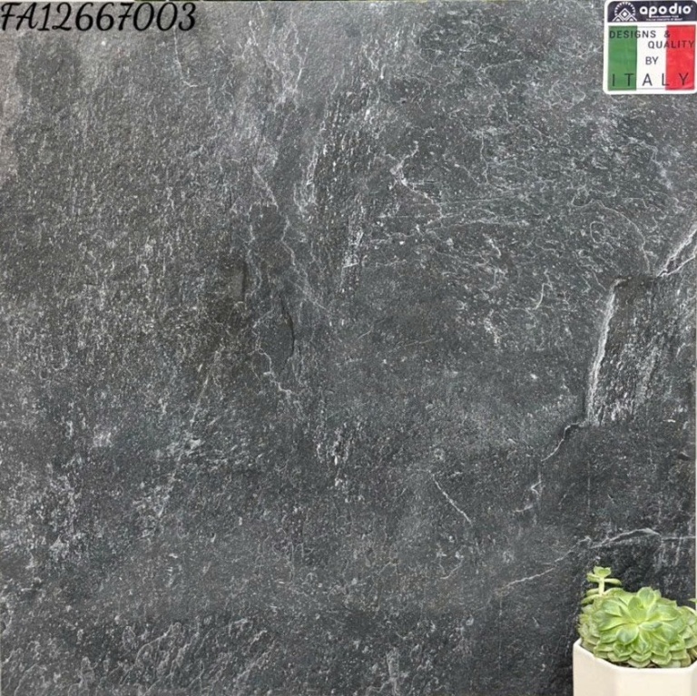 Apodio - FA12667003