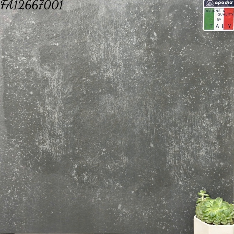 Apodio - FA12667001