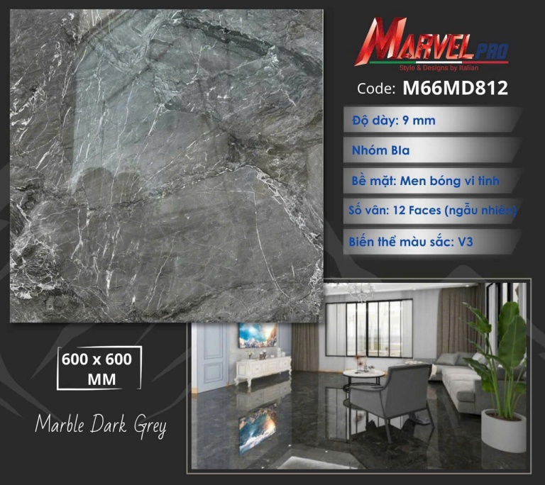Apodio - M66MD812