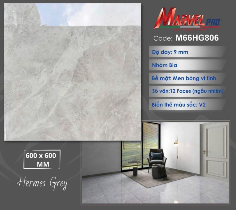 Apodio - M66HG806