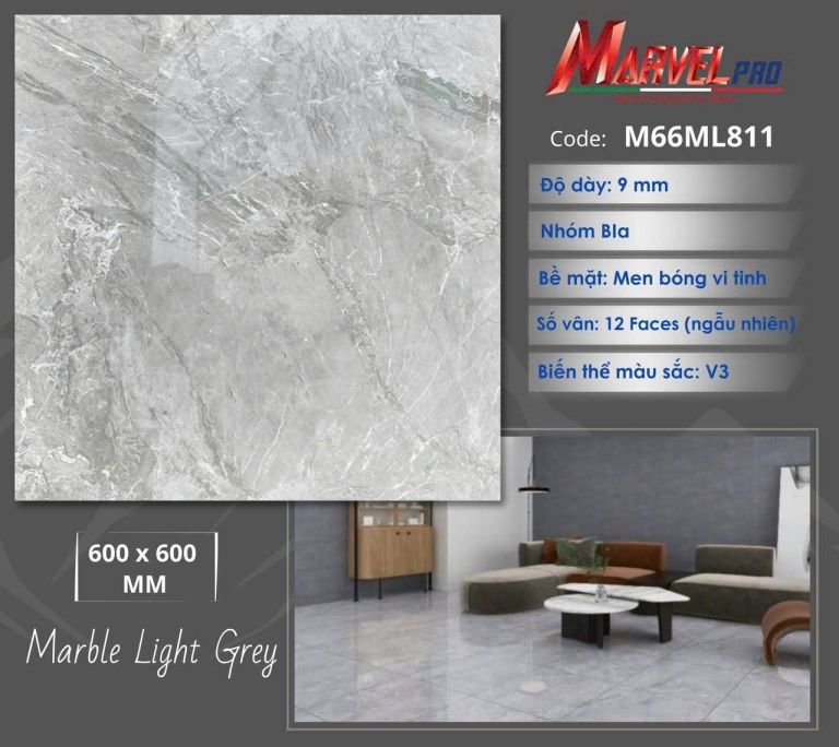 Apodio - M66ML811
