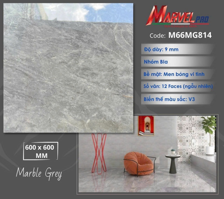 Apodio - M66MG814
