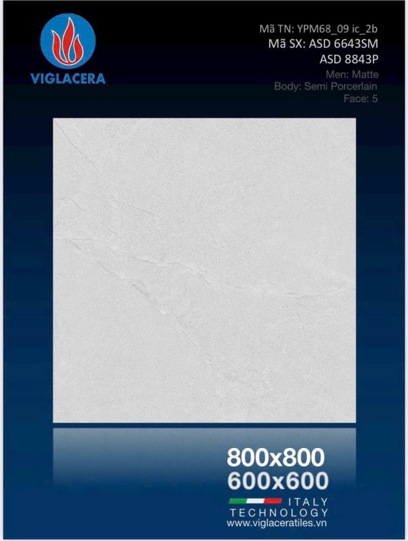 Viglacera - ASD 6643SM